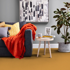 prestige-carpet-roomset3_1103645344