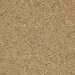 cdl-honey-gold-14