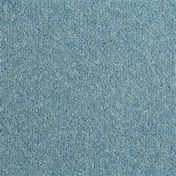 duck_egg_blue_164288662