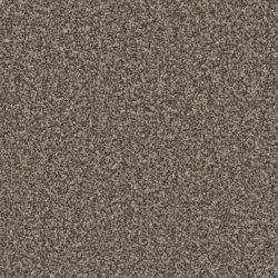 kingston_molasses