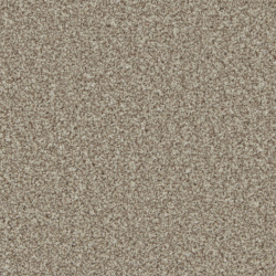 kingston_pale_oak