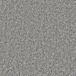 kingston_silver_birch