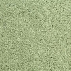 lawn_green_245089195