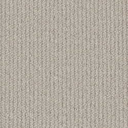 primo-textures_porcini_699547491