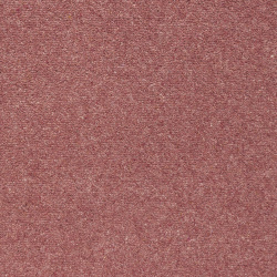 shoreline-coral